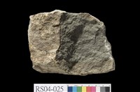 藏品(石灰岩)的圖片